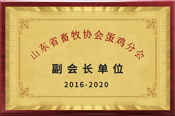 山東省畜牧協(xié)會蛋雞分會副會長單位